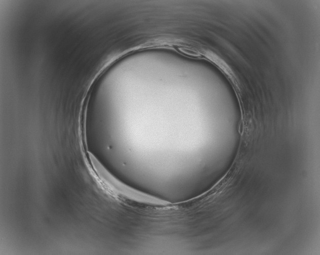 X0000083001055200702160044