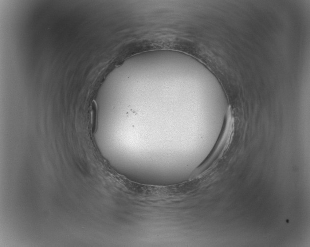 X0000083001057200702160044