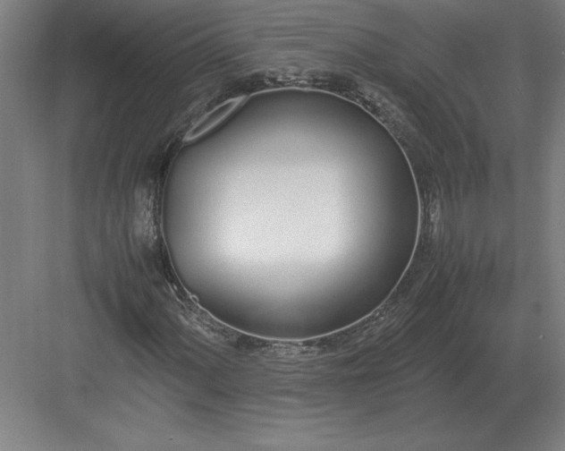 X0000083001060200702160043