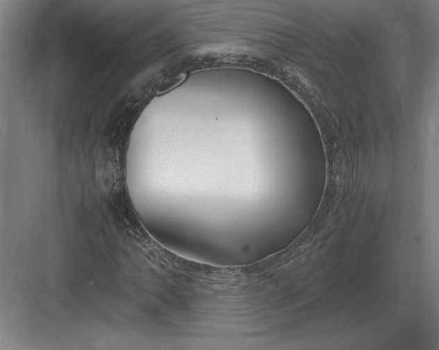 X0000083001062200702160043