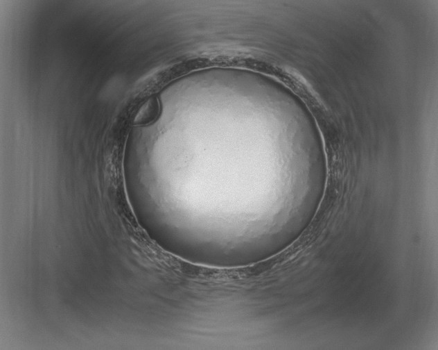 X0000083001063200702160043