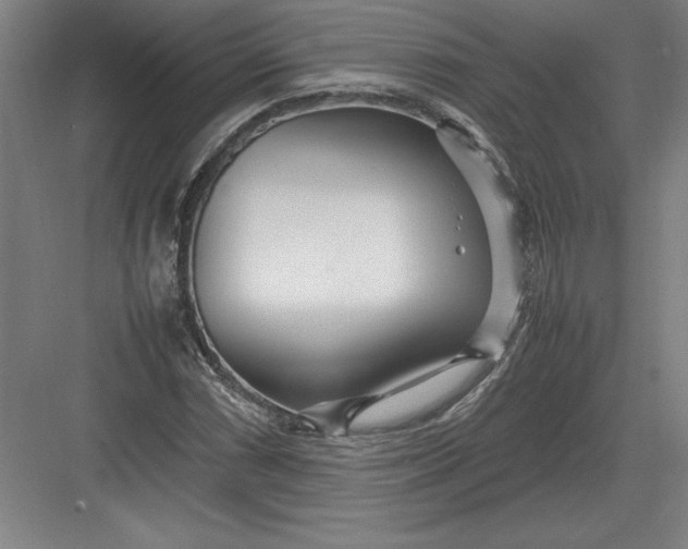 X0000083001066200702160043