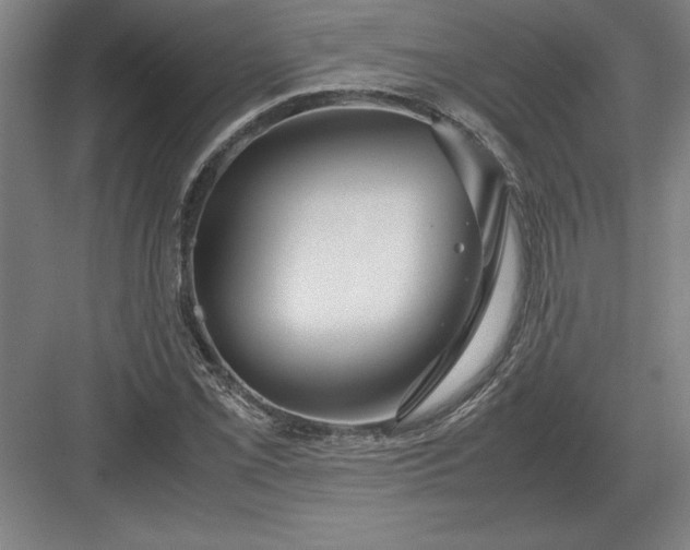 X0000083001069200702160043