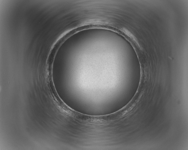 X0000083001070200702160043