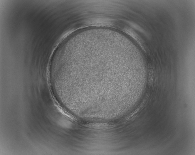 X0000083001074200702160043