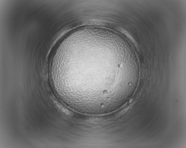 X0000083001075200702160043