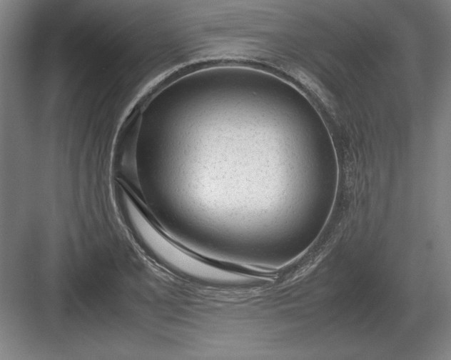 X0000083001077200702160043