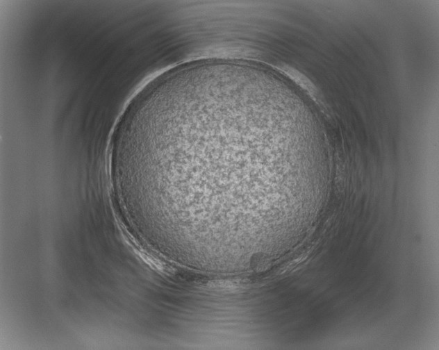 X0000083001078200702160043