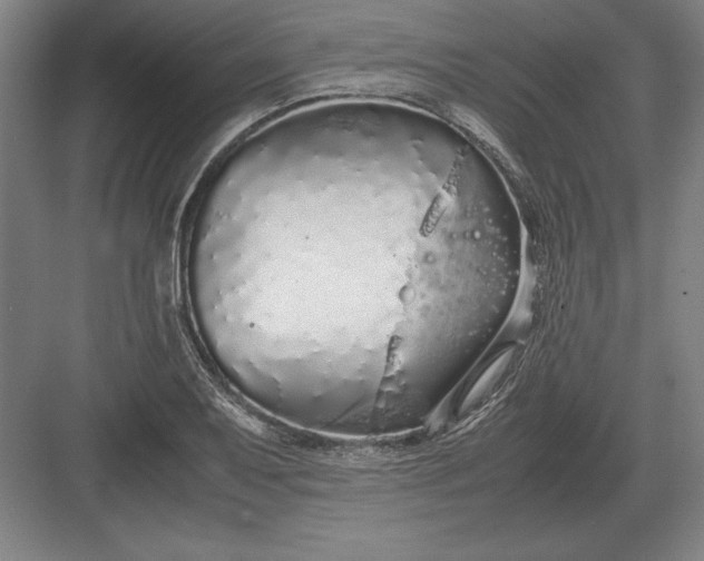 X0000083001079200702160043