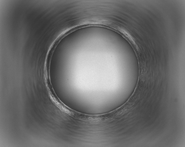 X0000083001080200702160043