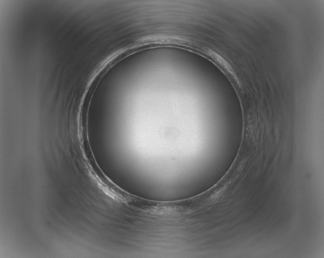 X0000083001082200702160043