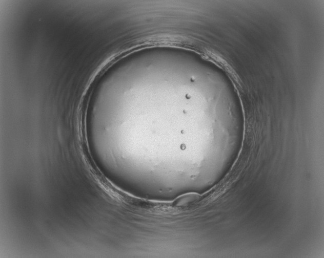 X0000083001083200702160043