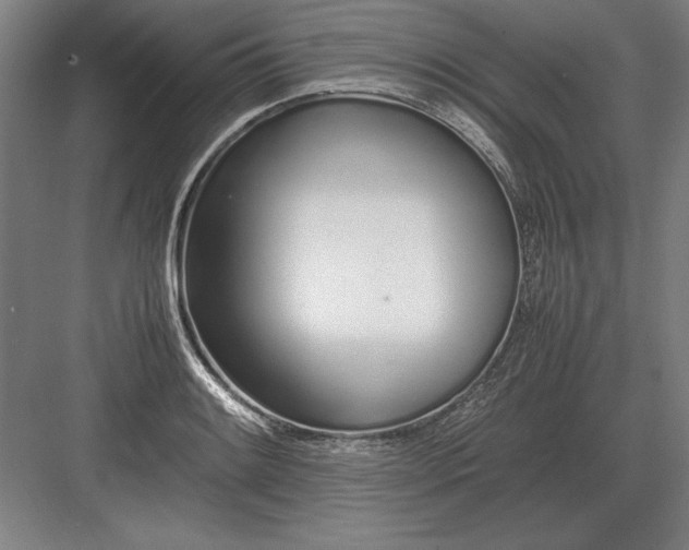 X0000083001084200702160043