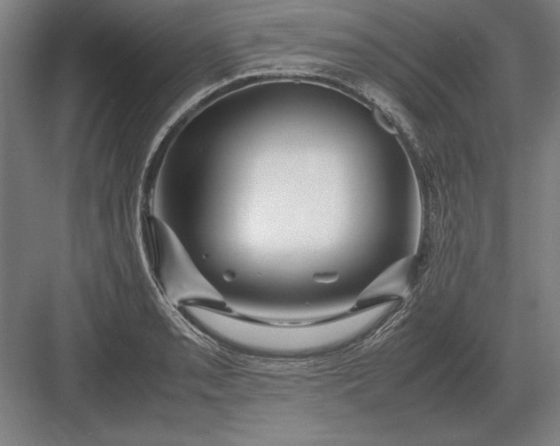 X0000083001085200702160043