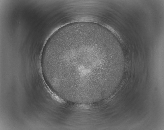 X0000083001086200702160043