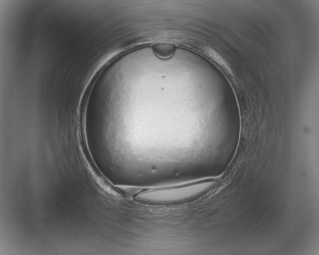 X0000083001087200702160043