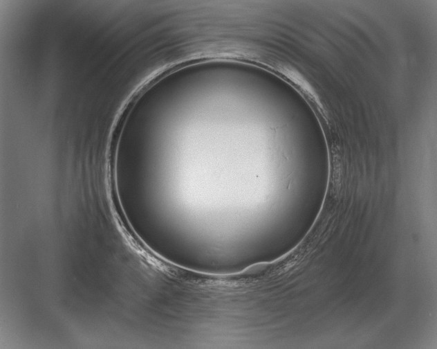 X0000083001088200702160043