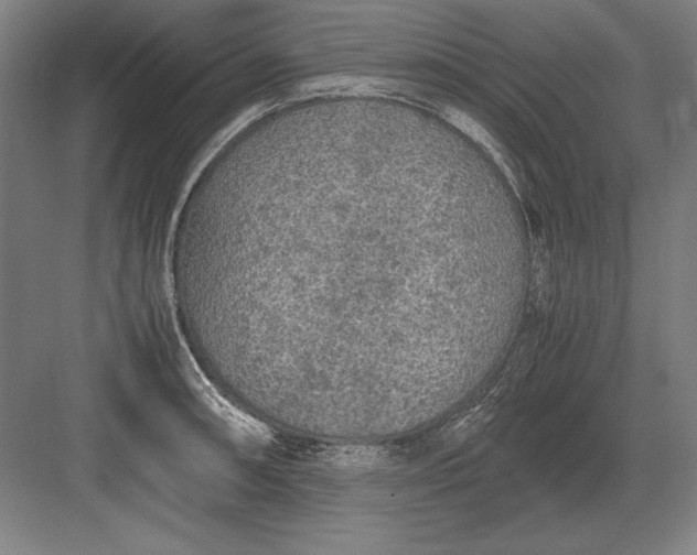 X0000083001090200702160043