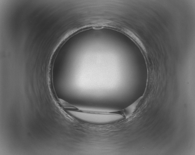 X0000083001093200702160043