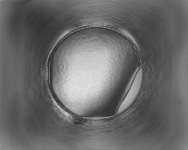 X0000083001095200702160043