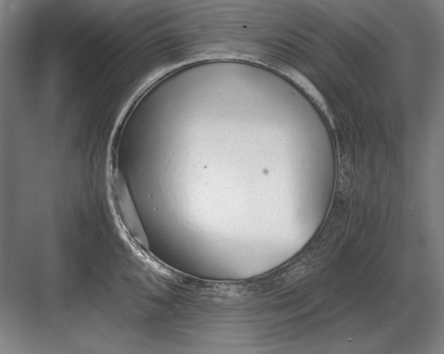 X0000083001096200702160043