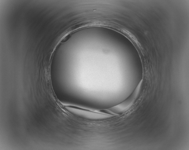 X0000083001097200702160043