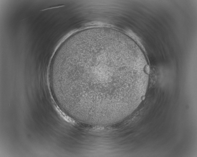 X0000083001098200702160043