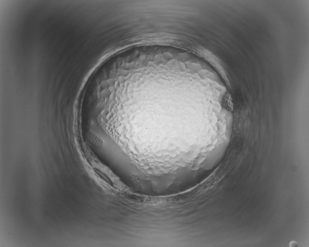 X0000083001099200702160043