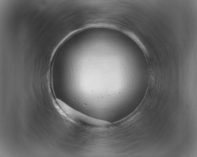 X0000083001100200702160043