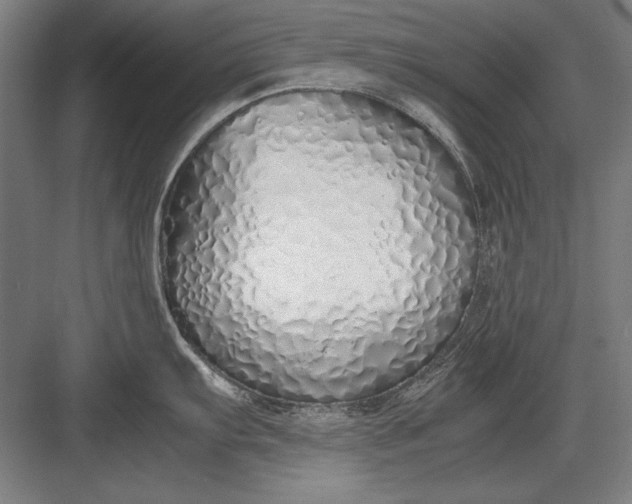 X0000083001103200702160043