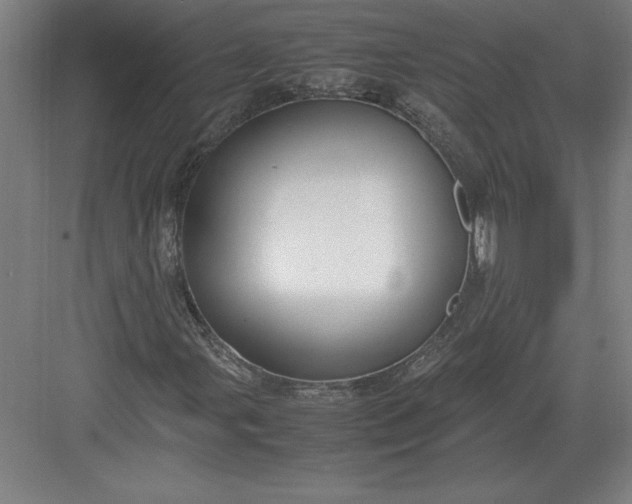 X0000083001107200702160042