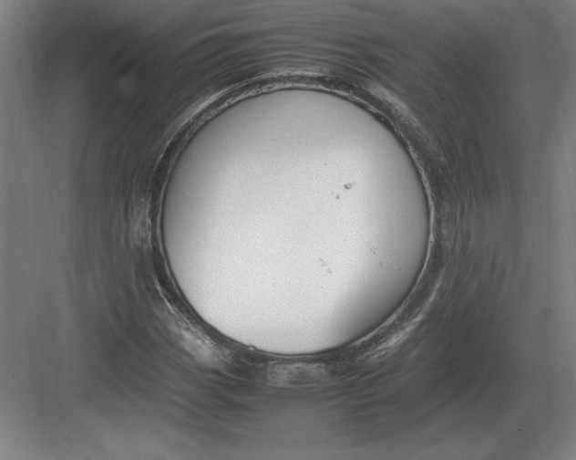 X0000083001113200702160042