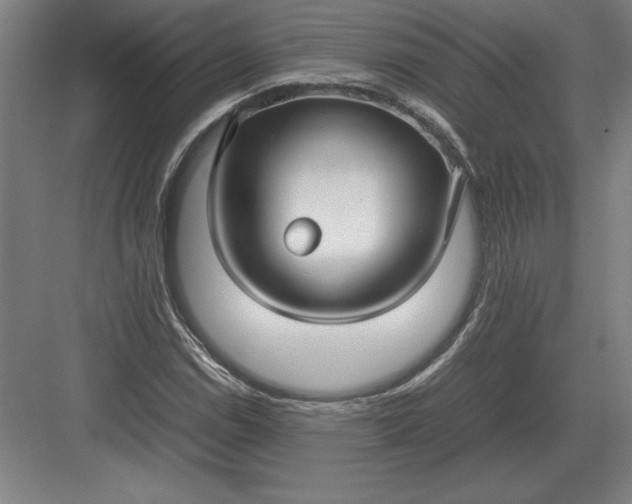 X0000083001114200702160042