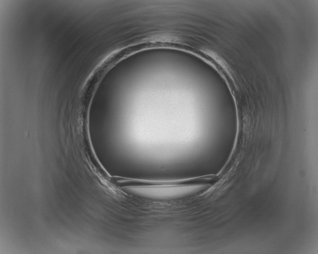 X0000083001115200702160042