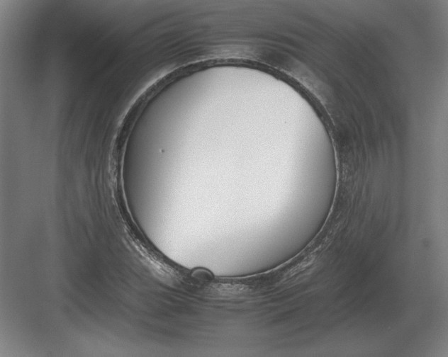 X0000083001119200702160042