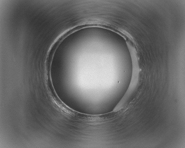 X0000083001120200702160042