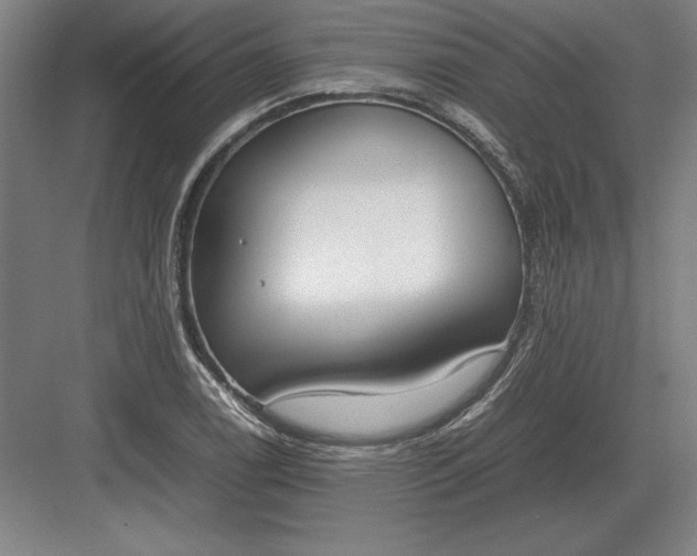 X0000083001122200702160042