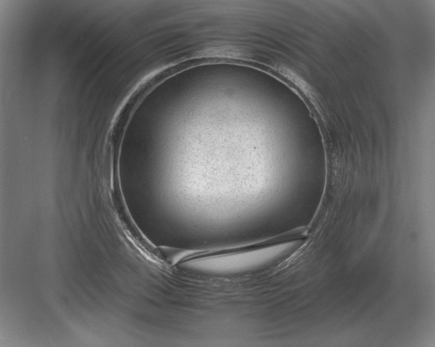 X0000083001123200702160042