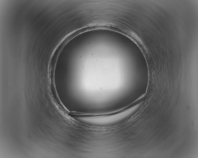 X0000083001124200702160042