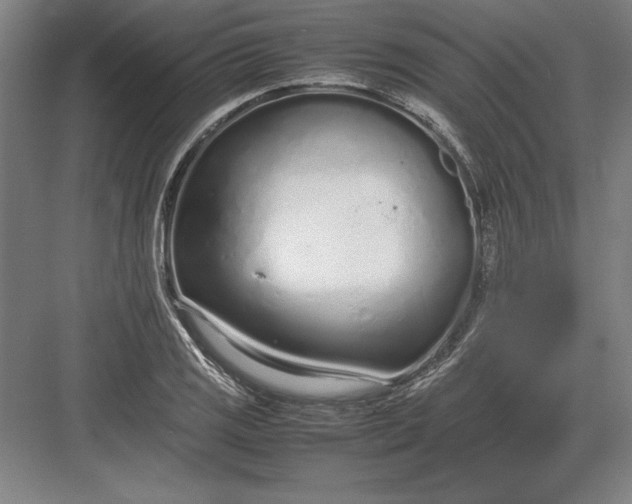 X0000083001125200702160042