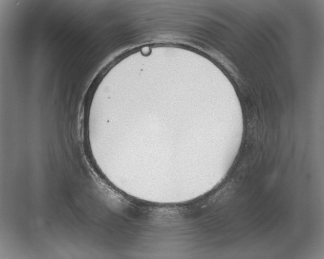 X0000083001126200702160042