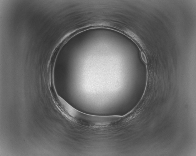 X0000083001127200702160042