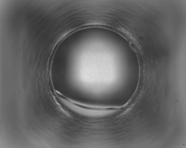 X0000083001129200702160042