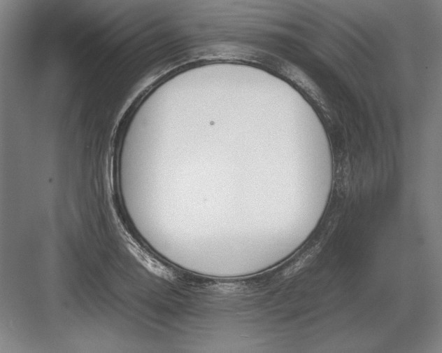 X0000083001130200702160042