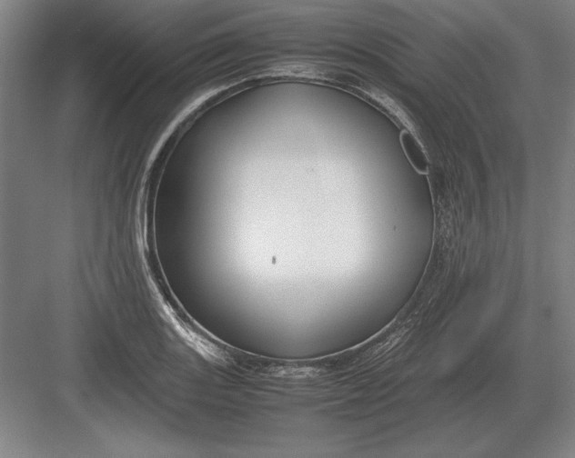 X0000083001131200702160042