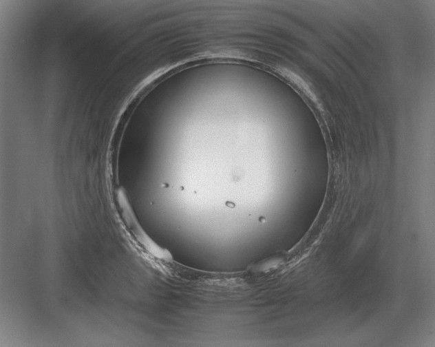 X0000083001133200702160042