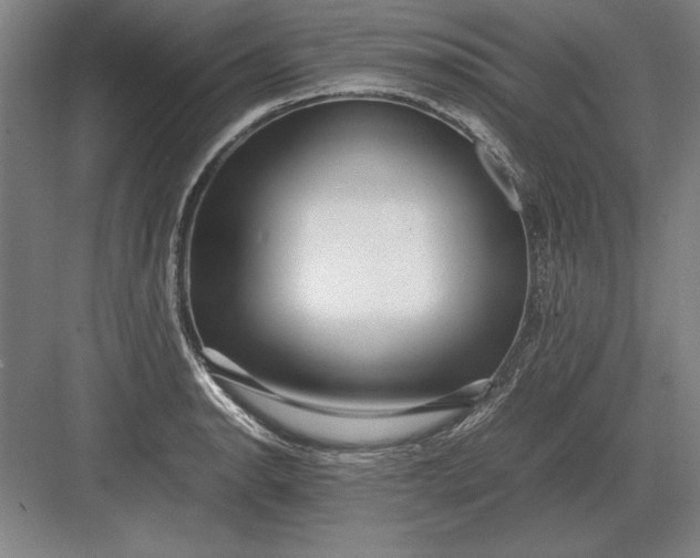 X0000083001134200702160042