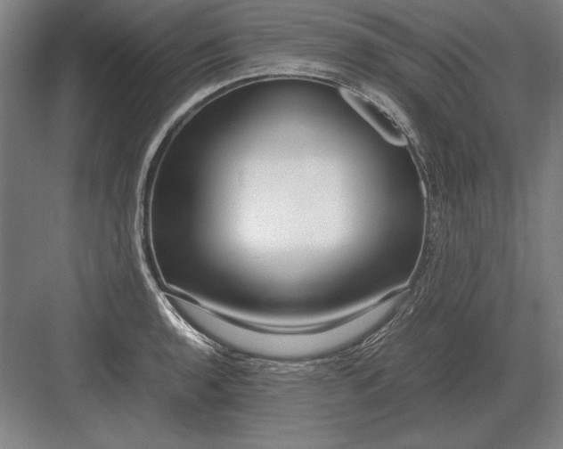 X0000083001136200702160042