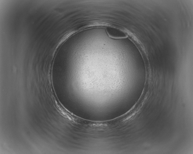 X0000083001137200702160042