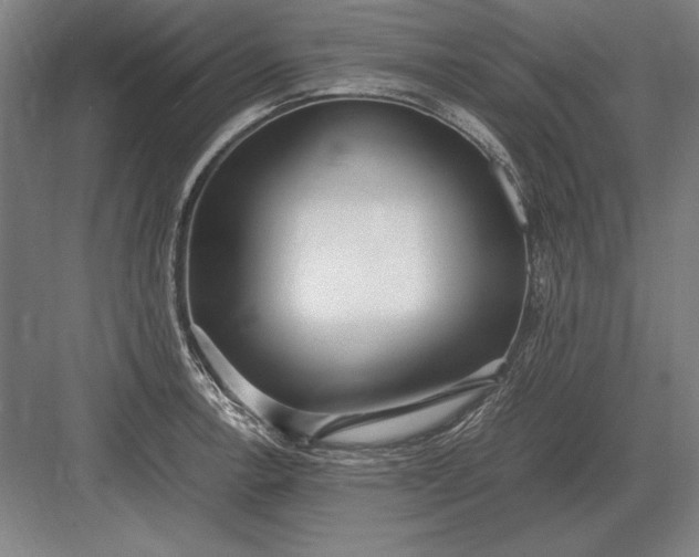 X0000083001138200702160042